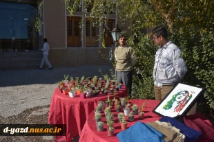  نخستین جشنواره و رویداد استانی معماری با سازه های انار 9