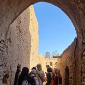 حضور تعدادی از دانشجویان معماری آموزشکده ملی مهارت دختران یزد در کارگاه مشارکتی مطالعه و حفاظت قلعه تاریخی روستای عزآباد

 2
