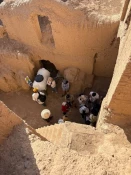 حضور تعدادی از دانشجویان معماری آموزشکده ملی مهارت دختران یزد در کارگاه مشارکتی مطالعه و حفاظت قلعه تاریخی روستای عزآباد

 9